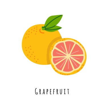 Grapefruit flat vector illustration vector