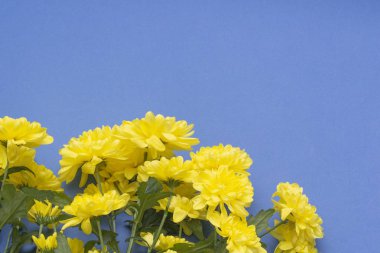 Arka plan. mavi arka planda sarı kamuflaj