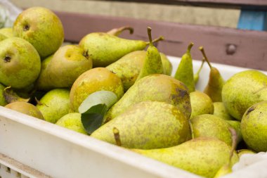 yeşil armut plastik bir kutu içinde yatıyordu, yakın çekim