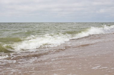 Sahilde güzel dalga