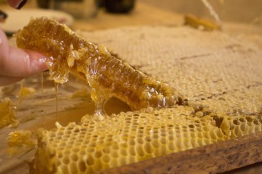 elleriyle bal alıyor, yakın çekim