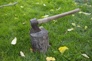 Çim arka plan üzerinde ahşap dışarı yapışan ahşap saplı çelik balta