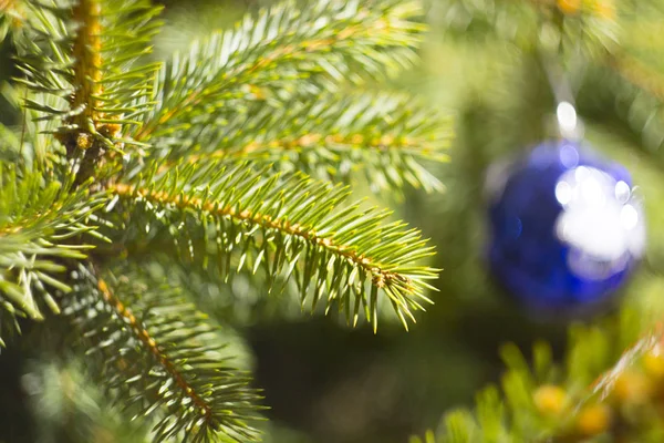 yeni yıl, Noel, elinde Noel süslemeleri, ağaç takılıyor
