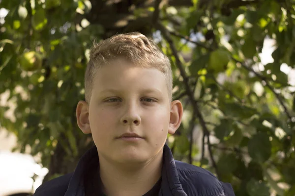 Portrait Boy Sitting Trees — Stock Photo, Image