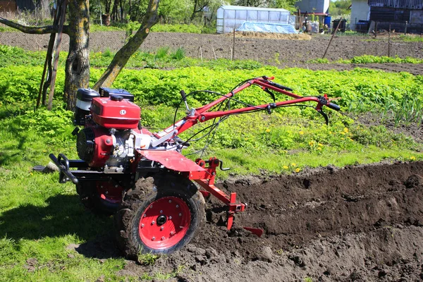 Red Tractor Standing Green Grass — Stock Photo, Image