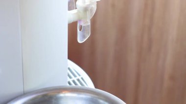 erkekler elleri soğutucuiçine su dökerek kapatın