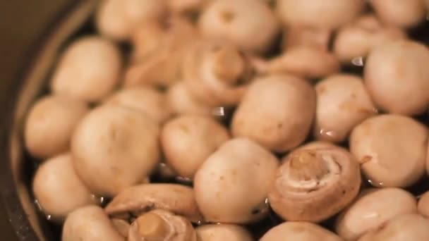 Groenten, witte paddenstoelen liggen in het water — Stockvideo