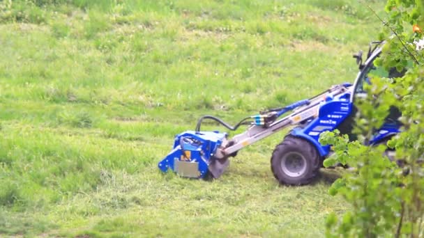 Green tractor for cleaning grass mows the clearing — Stock Video