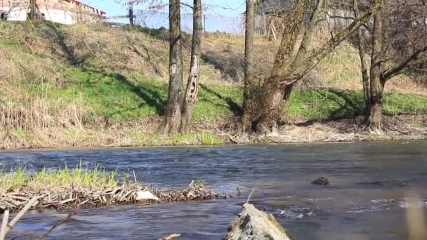 Krajobraz. wody rzeki wzdłuż brzegu między kamieniami — Wideo stockowe