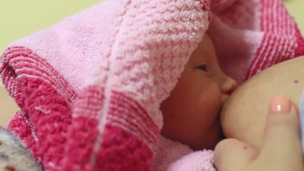 Bebé recién nacido chupando el pecho de la madre — Vídeo de stock