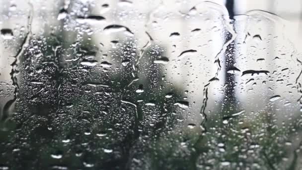 Rain drops falling on the glass blurred the background — Stock Video