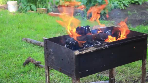 Focul arde în grătarul de fier de pe iarbă — Videoclip de stoc