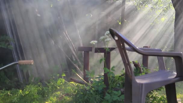 Sonnenstrahlen bahnen sich ihren Weg durch den Rauch — Stockvideo