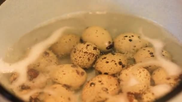 Oeufs de caille jaune sont bouillis dans une poche en métal — Video