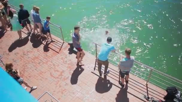 Svetlogorsk 2019.young people swim in the sea and jump into the water from the pier — Stock Video