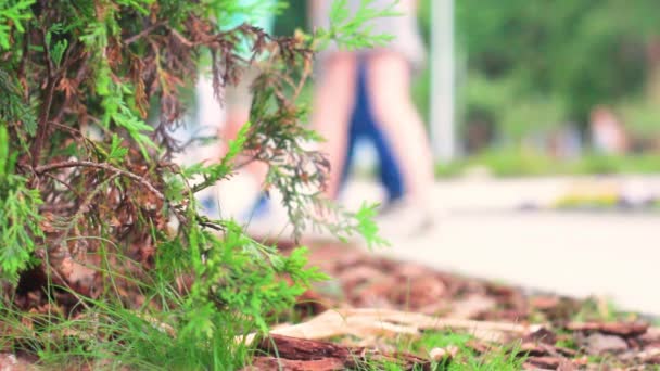 Füße von Menschen, die im Hintergrund gegen das grüne Gras laufen — Stockvideo