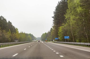 araba ile orman arasında otoyol