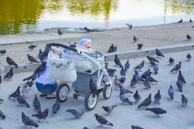 Rusya Kaliningrad 2019 onunla çocuk besleme güvercin ile kız