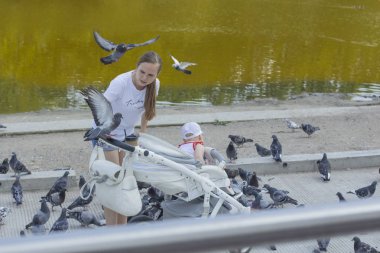 Rusya Kaliningrad 2019 onunla çocuk besleme güvercin ile kız