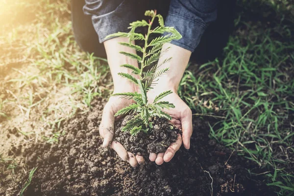 年轻人在花园里植树作为地球日 拯救世界概念 环境和生态 — 图库照片