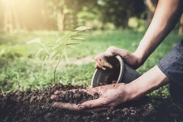 Joven Plantando Árbol Jardín Como Día Tierra Salvar Concepto Del —  Fotos de Stock
