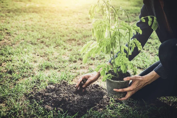 年轻人在花园里植树作为地球日 拯救世界概念 环境和生态 — 图库照片