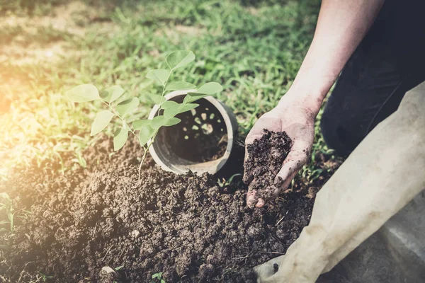 Joven Plantando Árbol Jardín Como Día Tierra Salvar Concepto Del — Foto de Stock