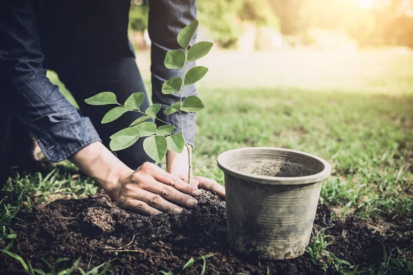 年轻人在花园里植树作为地球日 拯救世界概念 环境和生态 — 图库照片