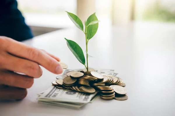 Hands Businessman Putting Coin Plant Sprouting Growing Golden Coins Banknotes — Stock Photo, Image