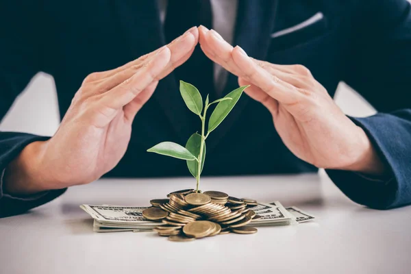 Hands Businessman Protection Plant Sprouting Growing Golden Coins Banknotes Business — Stock Photo, Image