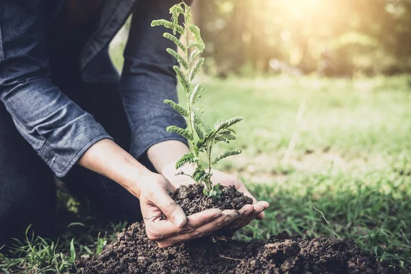 年轻人在花园里植树作为地球日 拯救世界概念 环境和生态 — 图库照片