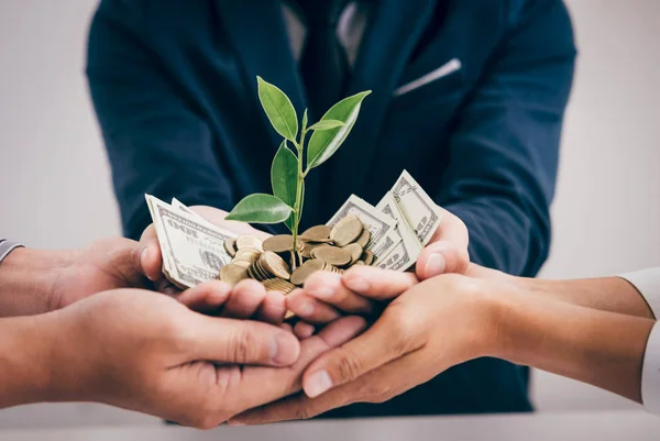 Hands Business Team Holding Plant Sprouting Growing Golden Coins Banknotes — Stock Photo, Image