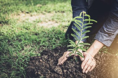 Genç adam dünya günü olarak ve dünya kavramı, Doğa, çevre ve ekoloji kazanmak bahçede ağaç dikme.