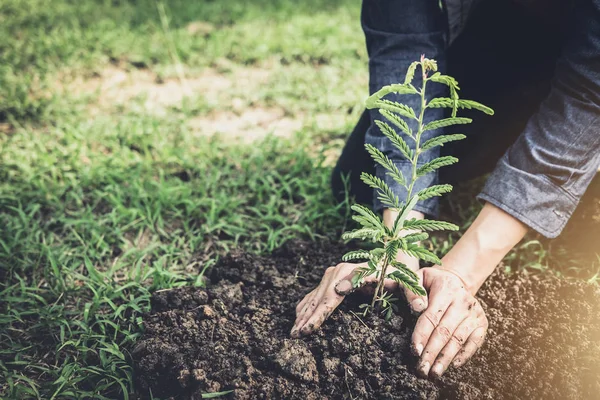 年轻人在花园里植树作为地球日 拯救世界概念 环境和生态 — 图库照片