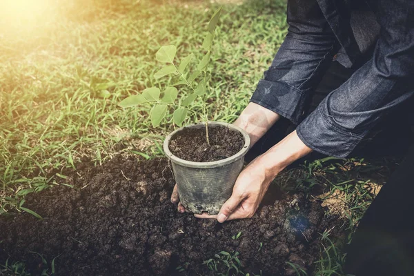 年轻人在花园里植树作为地球日 拯救世界概念 环境和生态 — 图库照片