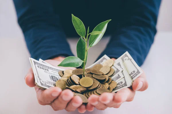 Hands Businessman Holding Plant Sprouting Growing Handful Golden Coins Banknotes — Stock Photo, Image