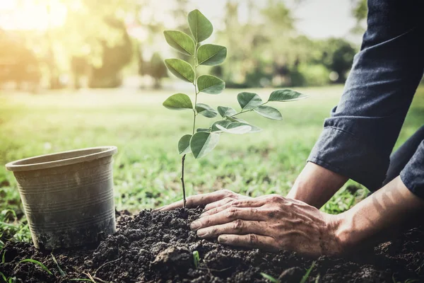 Joven Plantando Árbol Jardín Como Día Tierra Salvar Concepto Del — Foto de Stock