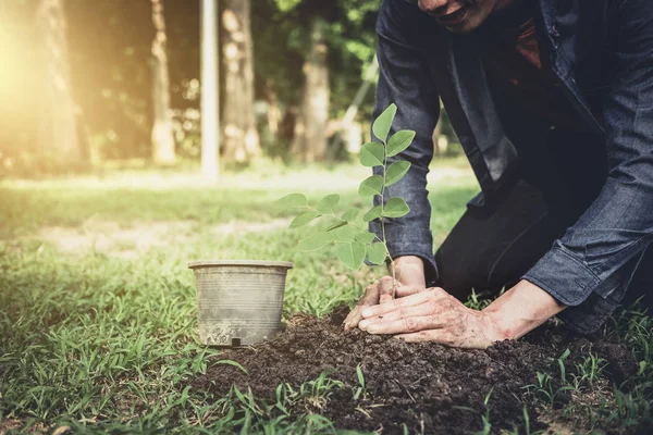 Молодой Человек Сажает Дерево Саду День Земли Спасает Мировую Концепцию — стоковое фото