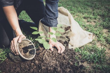 Genç adam dünya günü olarak ve dünya kavramı, Doğa, çevre ve ekoloji kazanmak bahçede ağaç dikme.