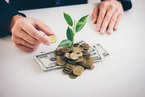 Hands Businessman Putting Coin Plant Sprouting Growing Golden Coins Banknotes — Stock Photo, Image