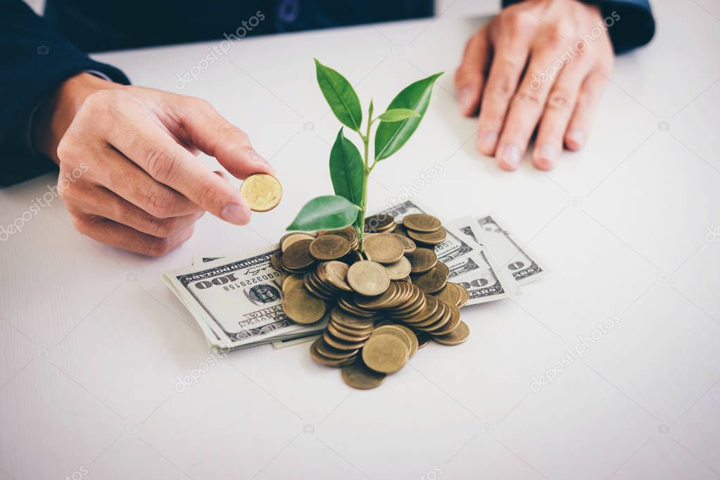 Hands of businessman putting coin into plant sprouting growing from golden coins and banknotes, business investment and strategy concept.