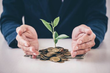 Altın sikke ve banknot, iş yatırım ve Strateji kavramı çimlenme büyüyen eller işadamı koruma bitki.
