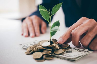 Altın sikke ve banknot, iş yatırım ve Strateji kavramı büyüyen çimlenme bitki içine para koyarak işadamı eller.