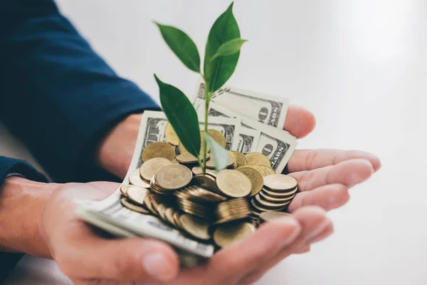 Hands of businessman holding with plant sprouting growing from a handful of golden coins and banknotes, business investment and strategy concept.