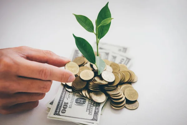 Hands Businessman Putting Coin Plant Sprouting Growing Golden Coins Banknotes — Stock Photo, Image