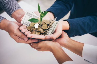 İş ekibi altın sikke ve banknot, iş yatırım ve Strateji kavramı büyüyen bitki çimlenme tutarak ellerinde.