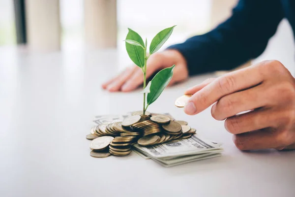 Mãos Homem Negócios Colocando Moedas Plantas Brotando Moedas Notas Ouro — Fotografia de Stock