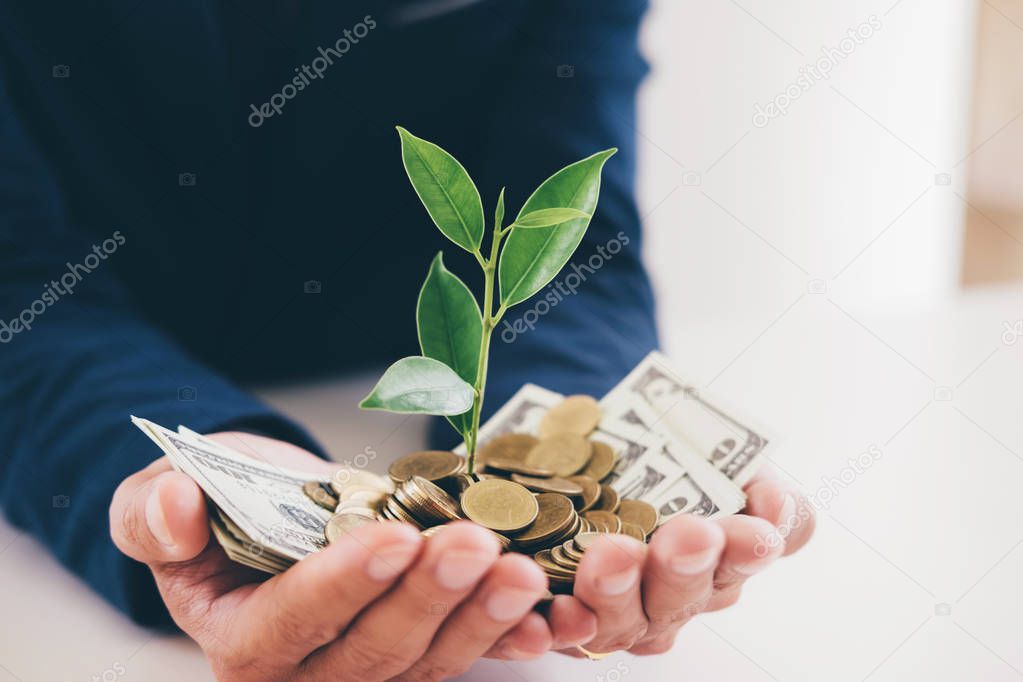 Hands of businessman holding with plant sprouting growing from a handful of golden coins and banknotes, business investment and strategy concept.