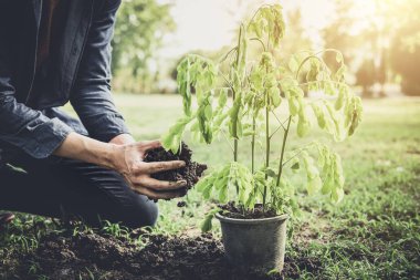 Genç adam dünya günü olarak ve dünya kavramı, Doğa, çevre ve ekoloji kazanmak bahçede ağaç dikme.