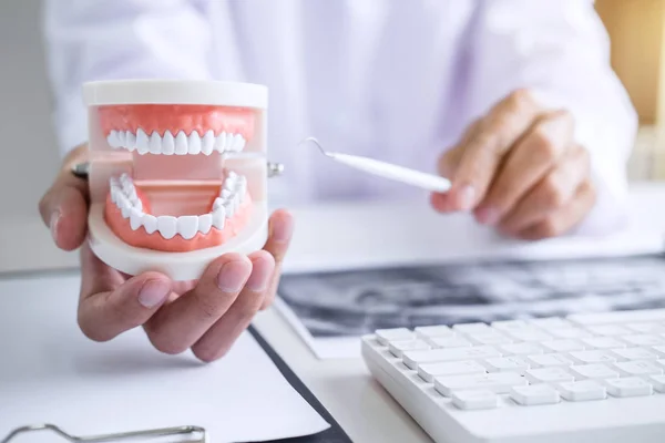 Dentysta Ręka Trzyma Model Szczęki Zębów Czyszczenia Dentystyczne Narzędzia Stomatologiczne — Zdjęcie stockowe